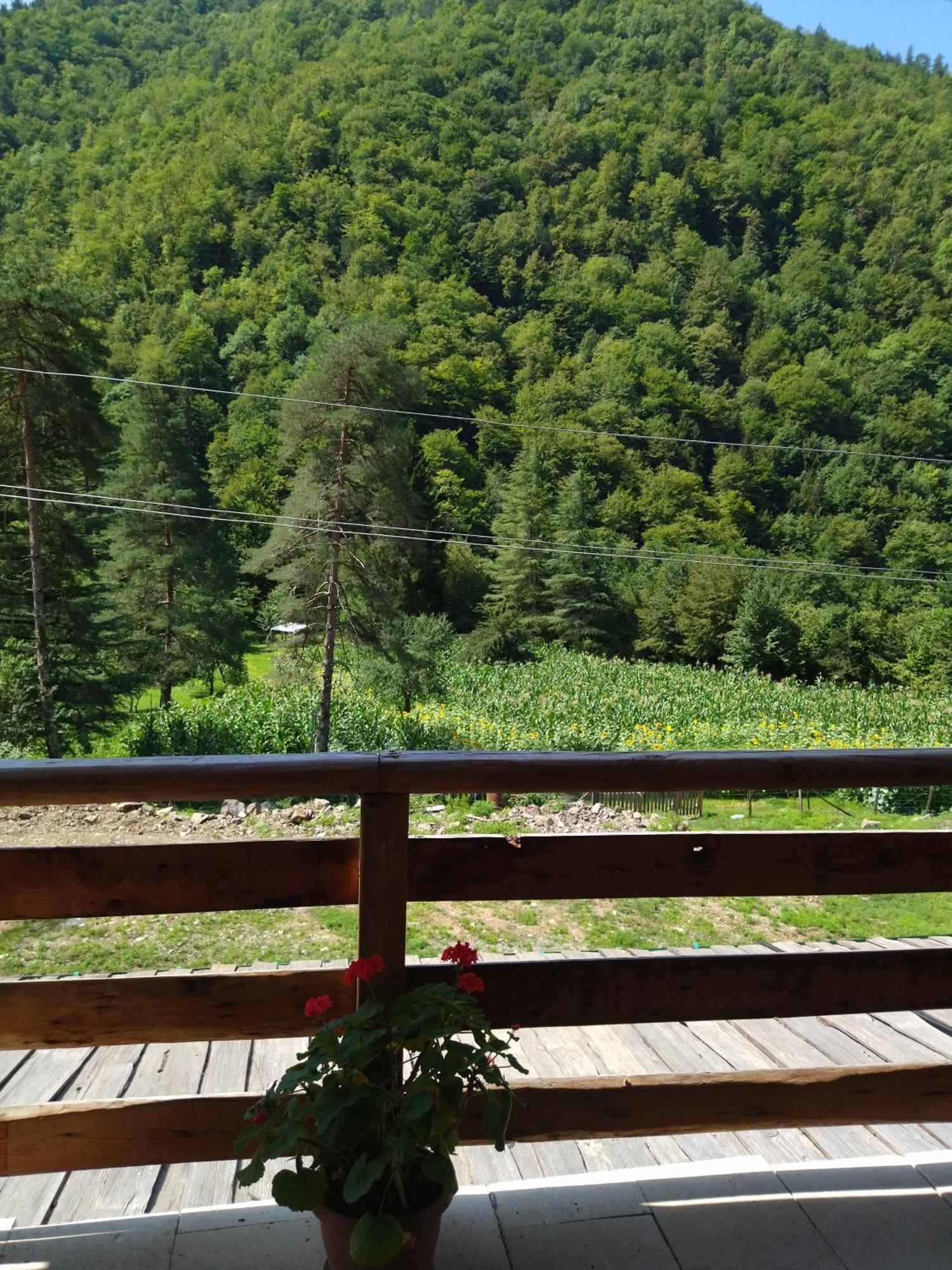 Hotel Alismereti Zekari Экстерьер фото